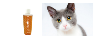 Complementos salud para gatos | Neonatural